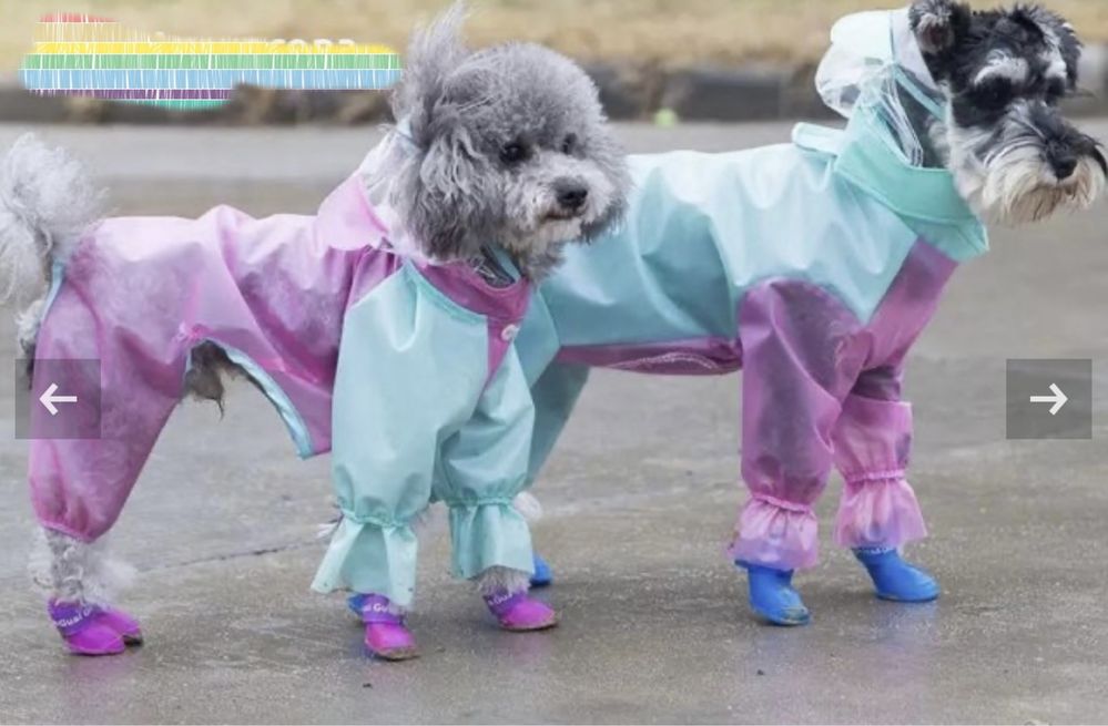 Дрехи за куче - Дъждобран, яке и елек за куче