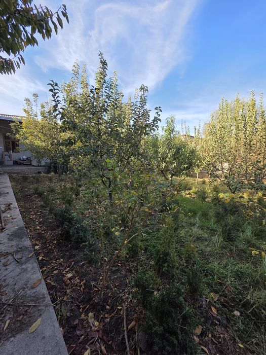 Зенит хасанбойда ер сотилади сотиги