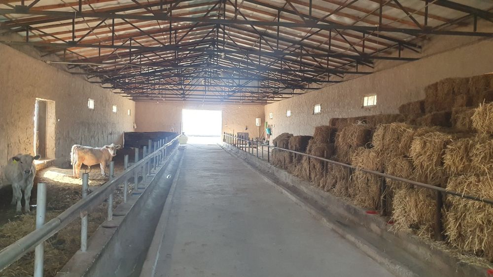 Ферма биноси сотилади.