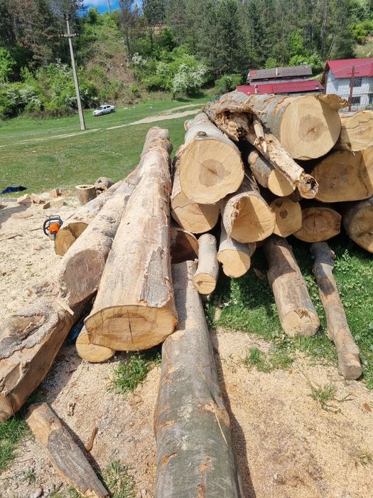 Vand lemne de foc esente tari mai multe detali  in privat