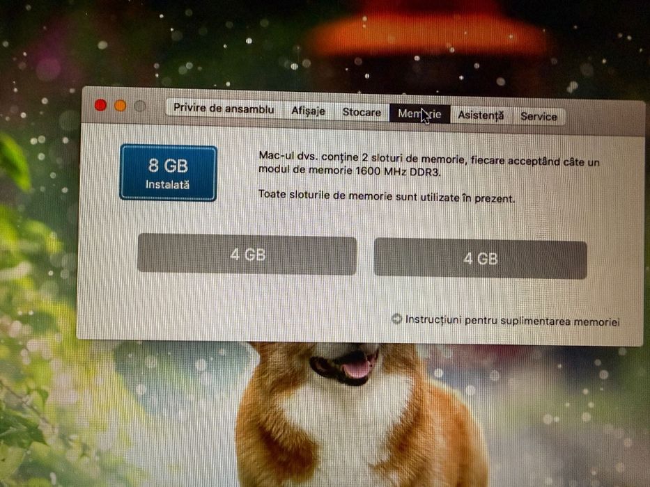 MacBook Pro ( 13'')