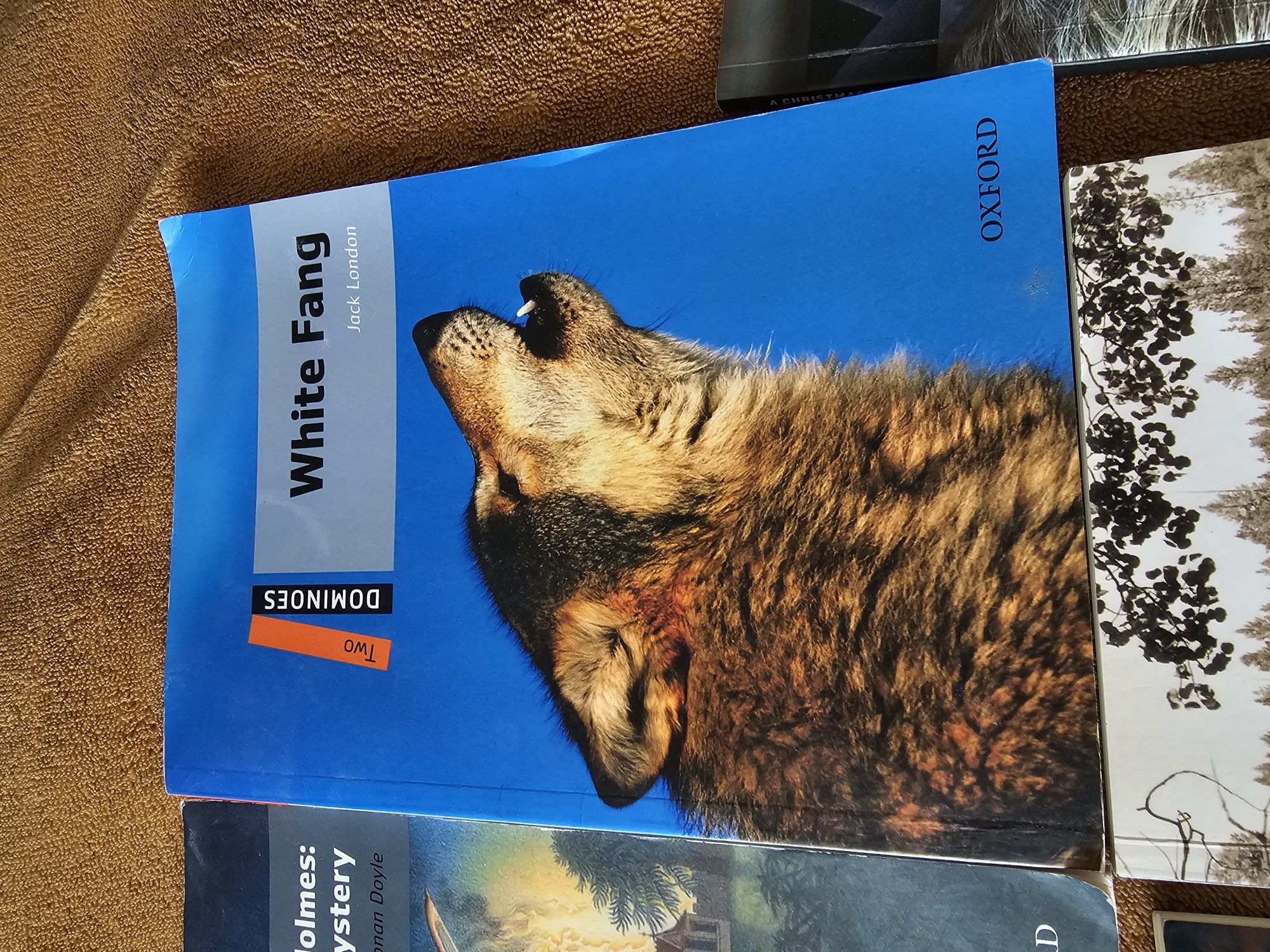 Книжки на английски език