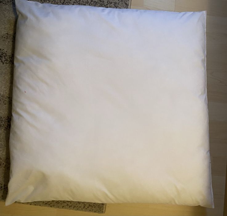 Perna alba 65x65