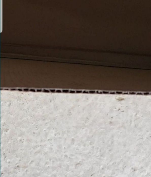 Karton sifati yaxshi