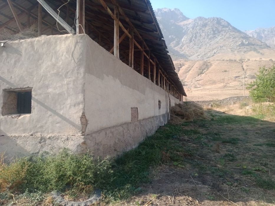 Hamma sharoiti bor tayor ferma ijaraga beriladi 400 kv.m