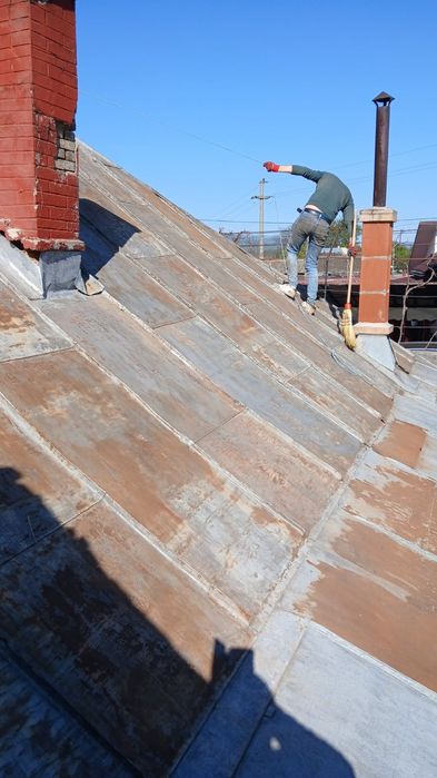 Vopsitor  profesionis  tabla pe case