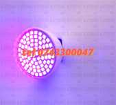 Bec Sterilizare Cu Ozon 80 Smd E27