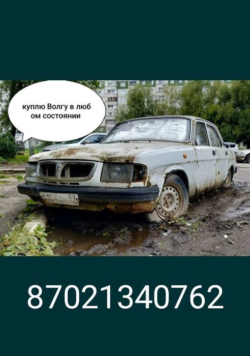 Волга 3110, 31029, 2410, газель