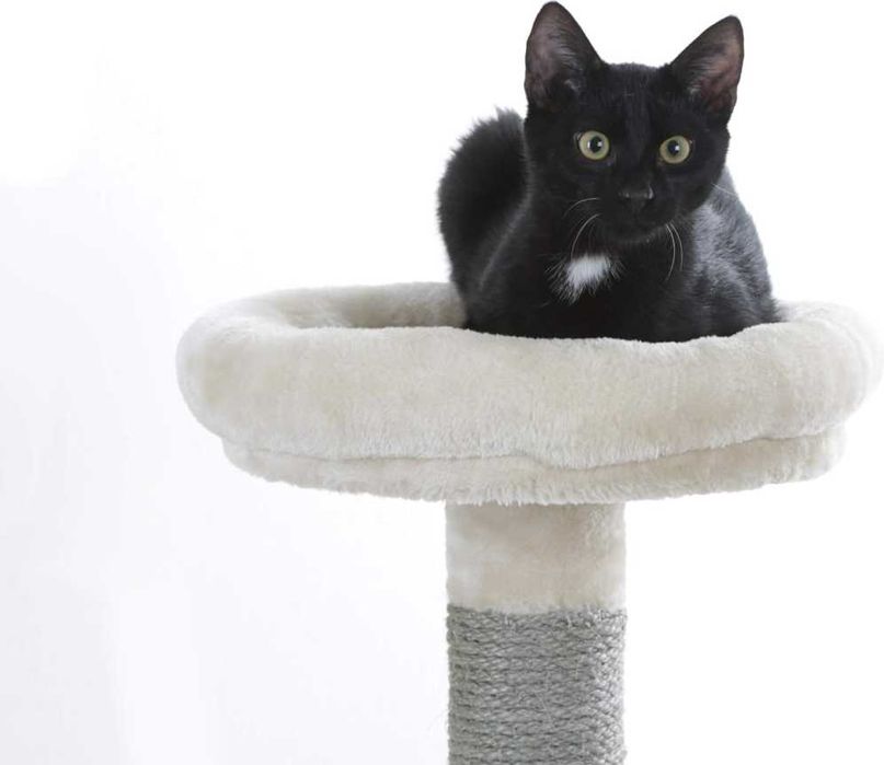 Котешка Катерушка - Kerbl Creativ Adventure