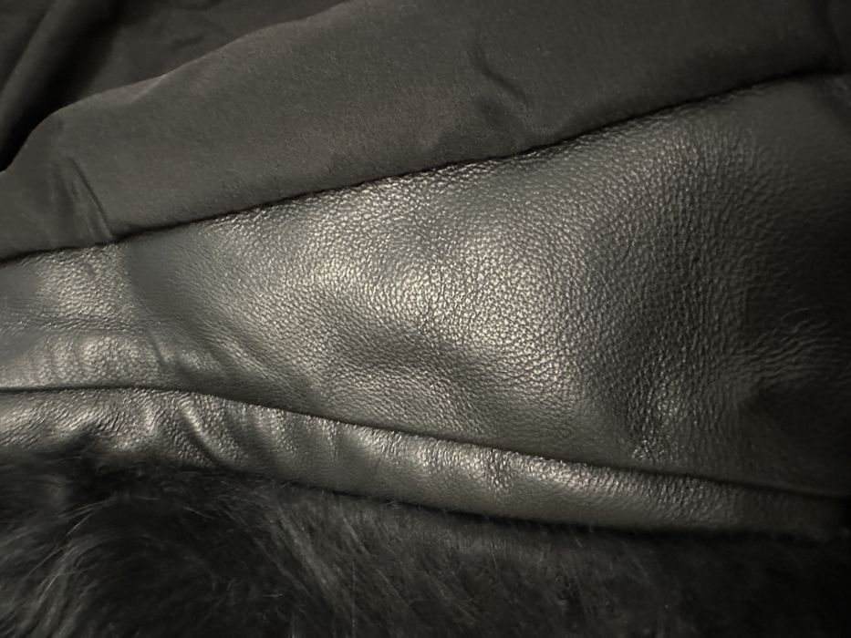 Blana mongoleza noua