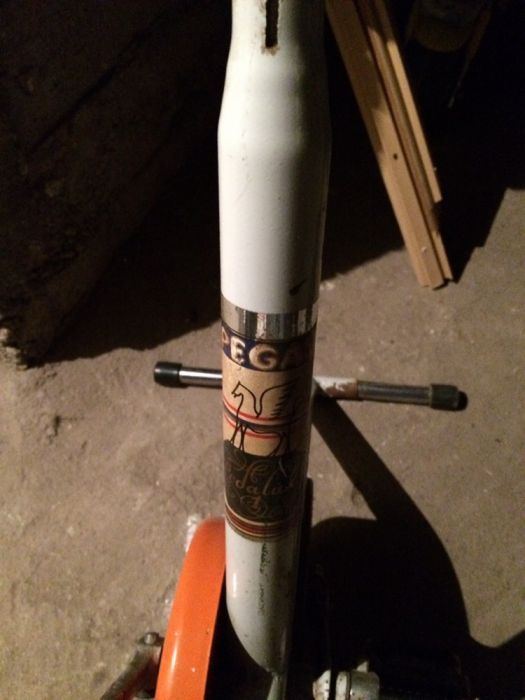 Bicicleta medicinală pegas