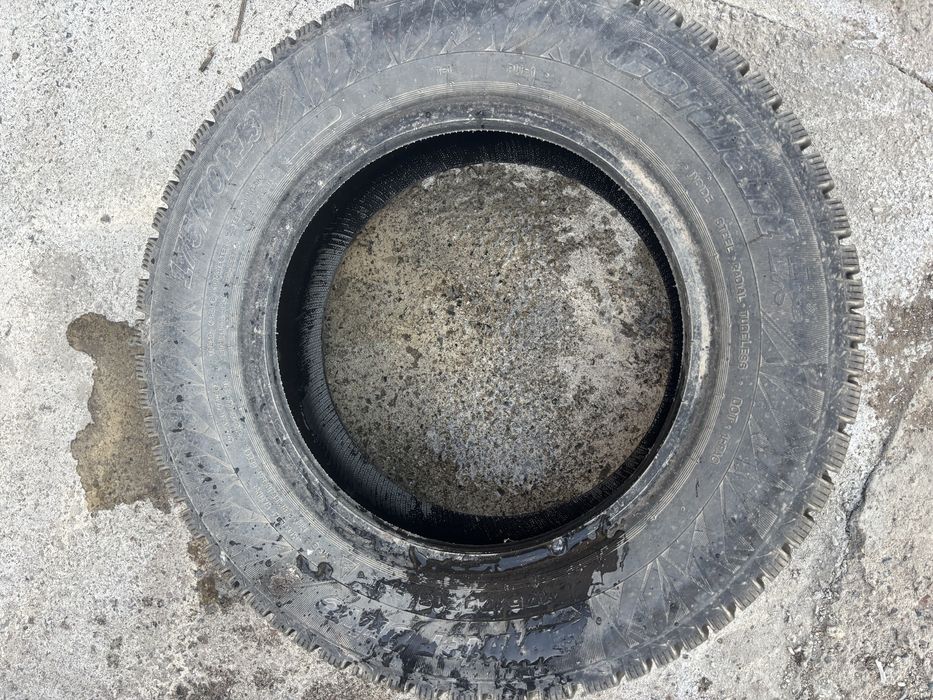 Зимний шина triangle