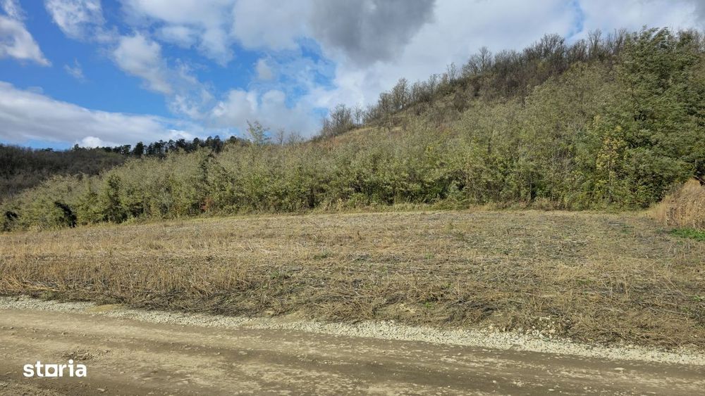 Teren intravilan în Mediaș, lângă Heleșteu