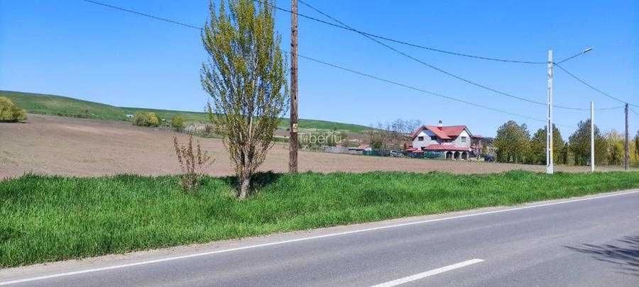 Vând 15000 mp teren