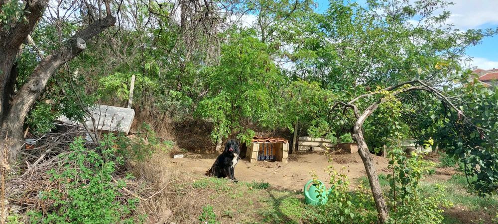 Eдноетажна еднофамилна къща