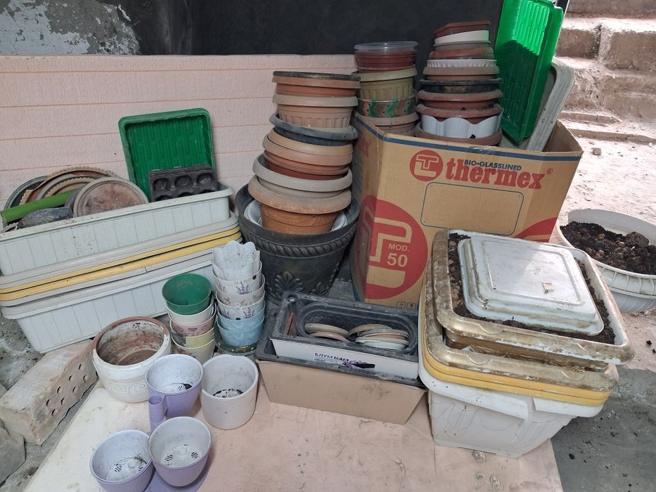 Горшки недорого для цветов