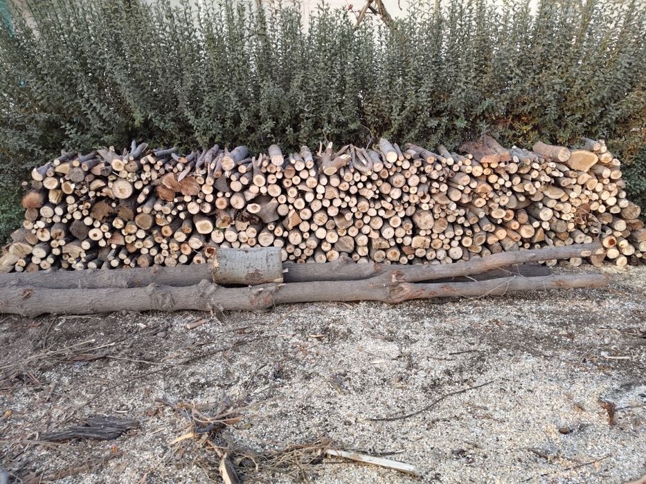 Turli xildagi. Taroshalar sotiladi