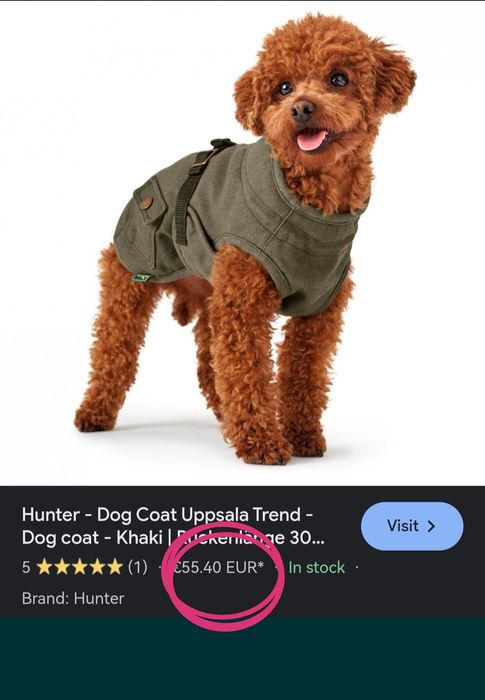 Haina noua căței calitate f bună