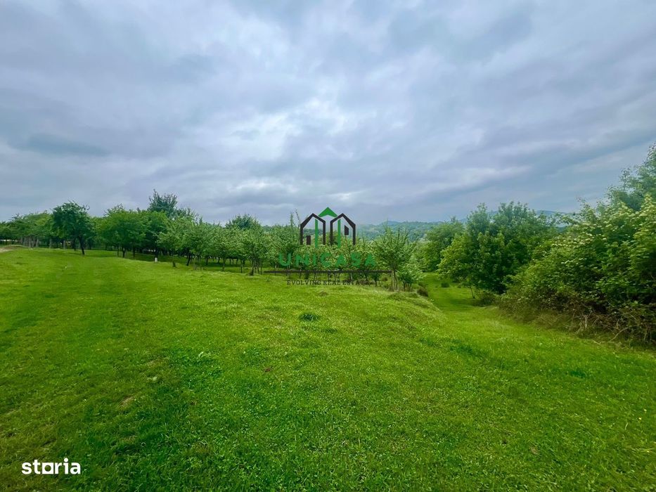 Teren 3507 mp/ Seaca/Calimanesti