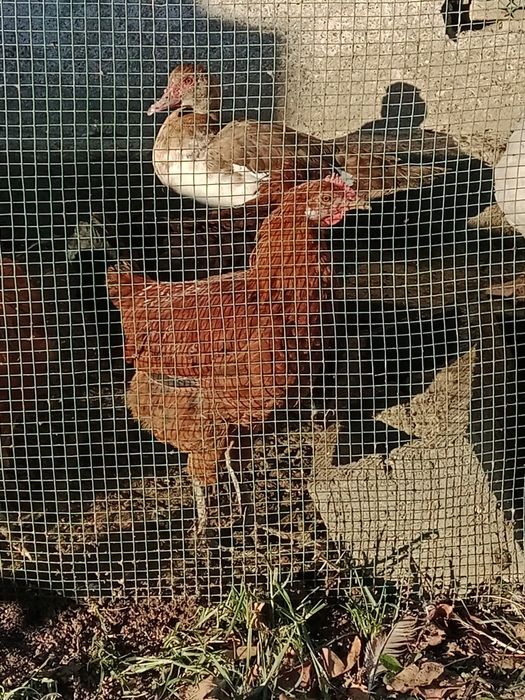 2500 тг талдыкорган