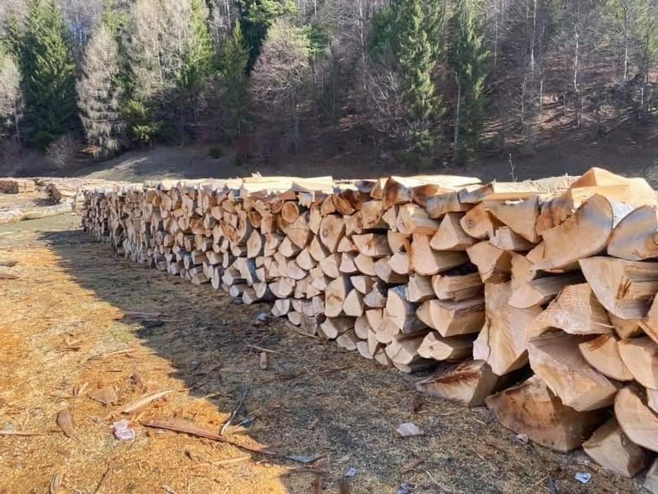 Lemn pentru foc esență tare stejar fag carpen