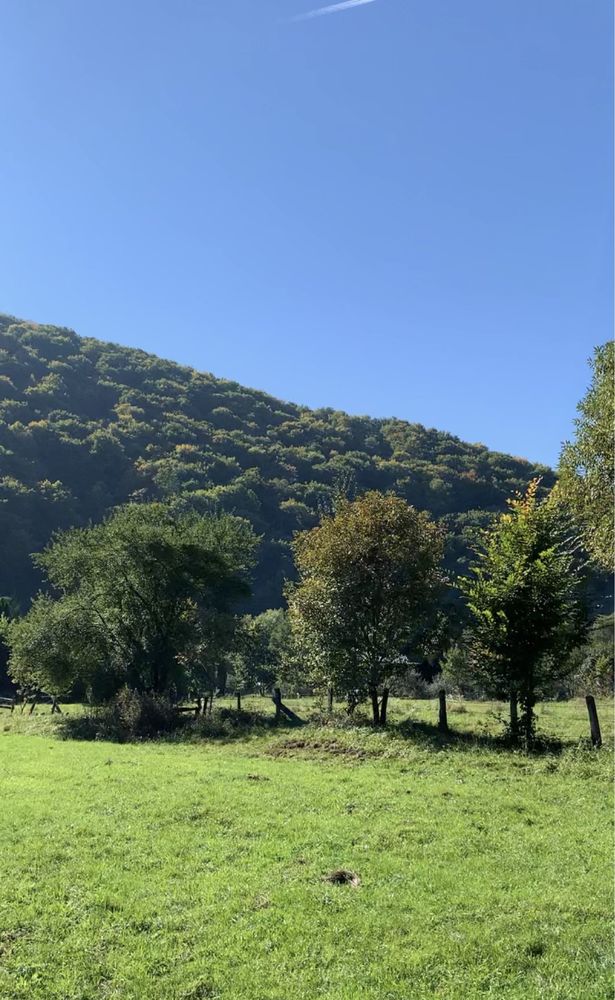 Teren de vanzare Somesu Rece intravilan