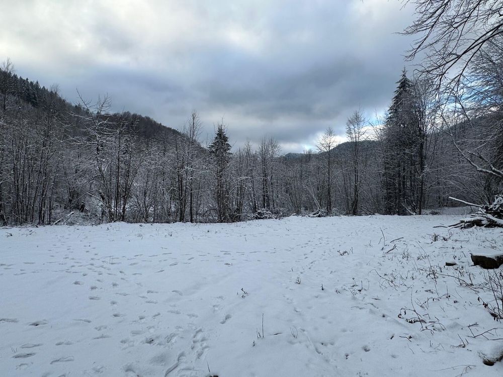 Teren Intravilan Tarcău