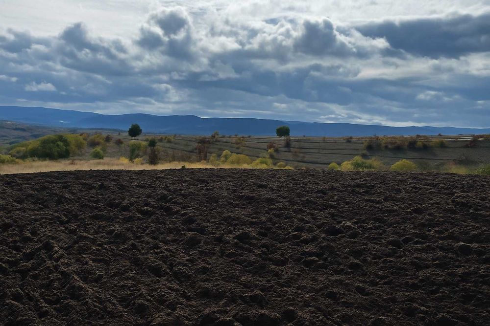 46 ДКА до варна, общ. Дългопол - 100 ЛВ Рента - декари по ваш избор