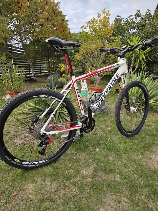 MTB Cannondale Lefty Flash