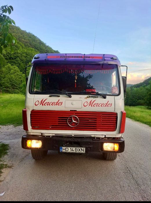 Camion cu macara forestieră