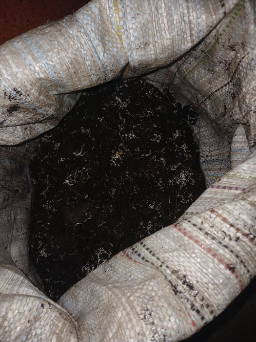 Торф Удобрения отработку от грибов шампиньон. Торф