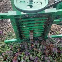 tocator electric pt legume si fructe