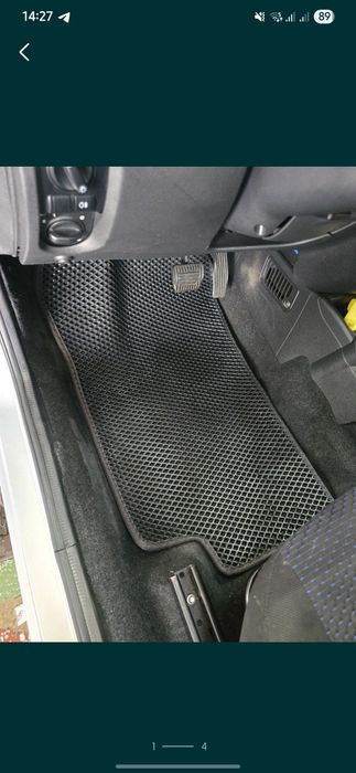 Ева коврики гранта 2013