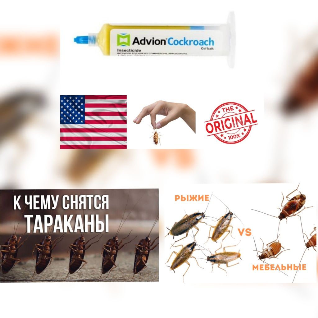 Гель от тараканов advion cockroach gel syngenta