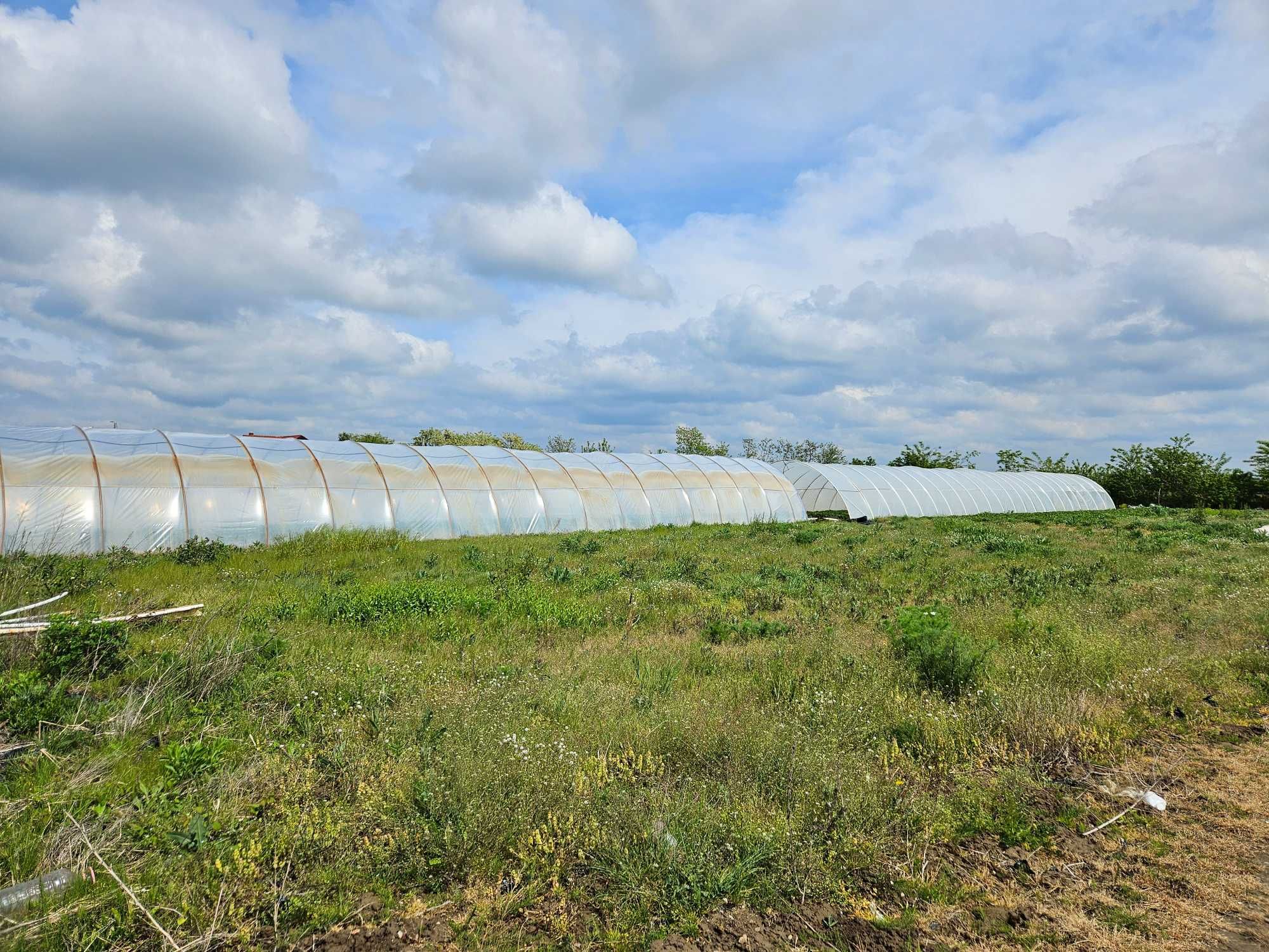 Vand solarii 10m latime, 46 lungime