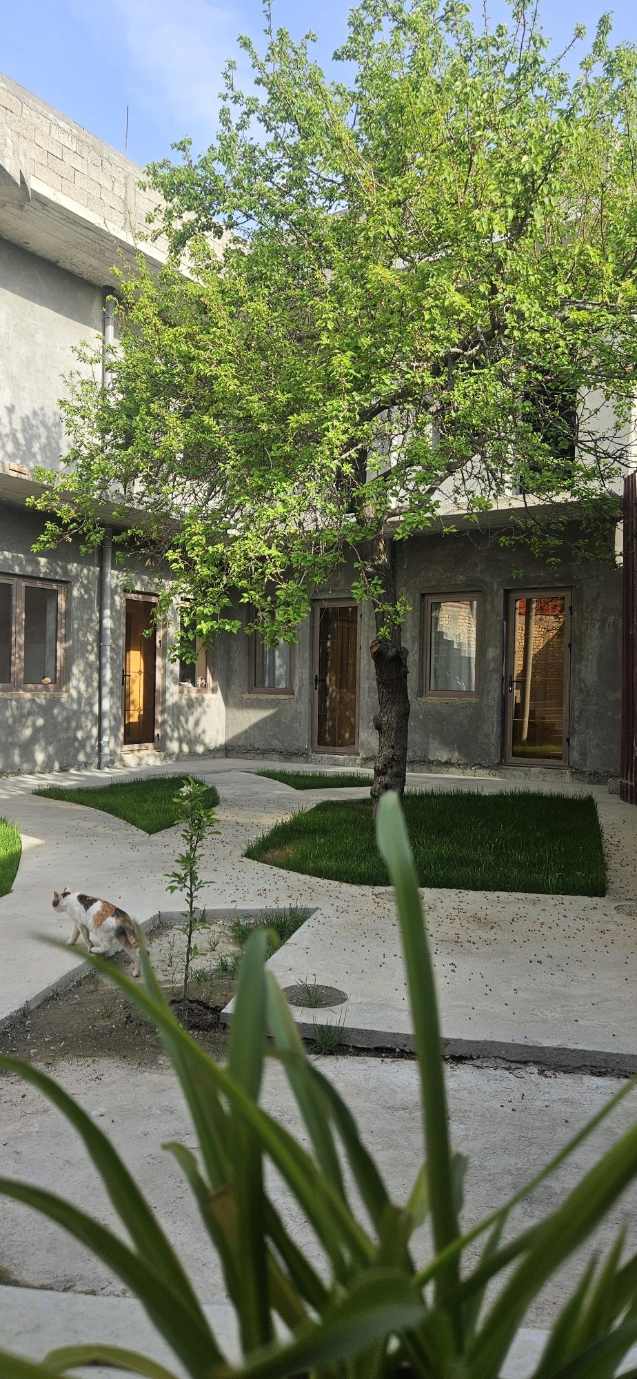 Сдаются номера в гостинице Paradise Garden в исторической части города