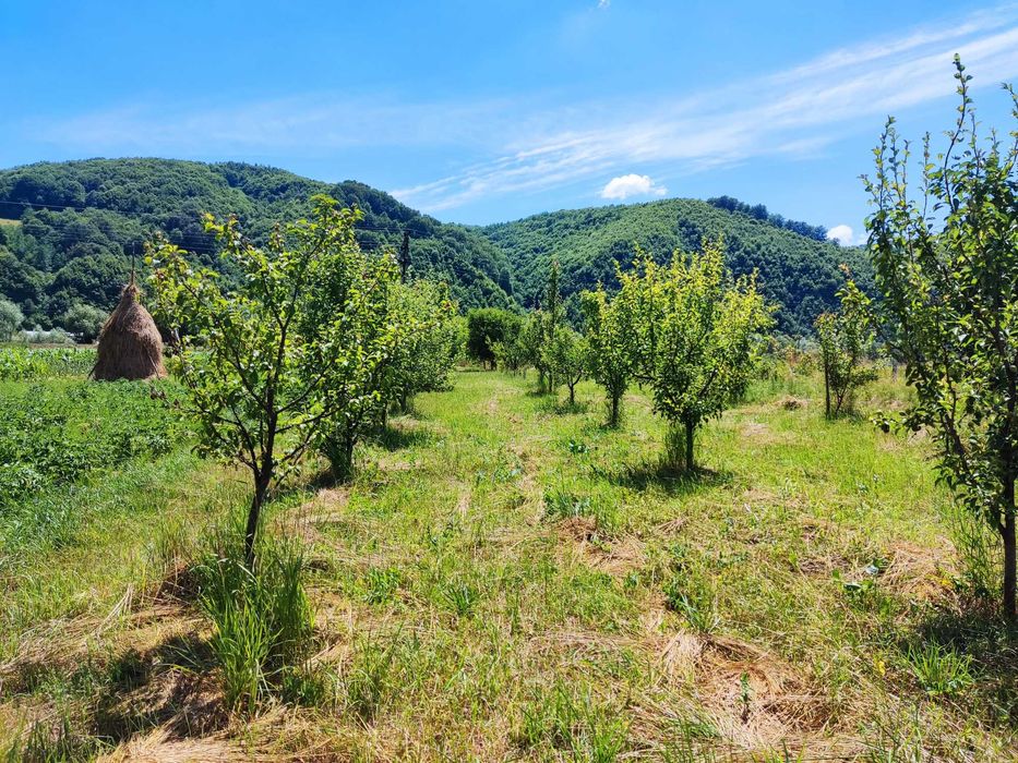 De vanzare casa si gradina in Rebrisoara
