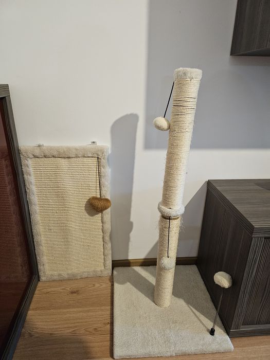 Accesorii pentru pisica