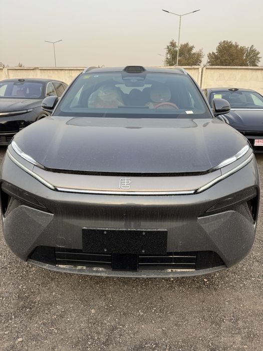 Bivaydi tang L elektr