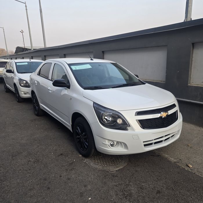 **Cobalt MSM midnight sport motor 2026