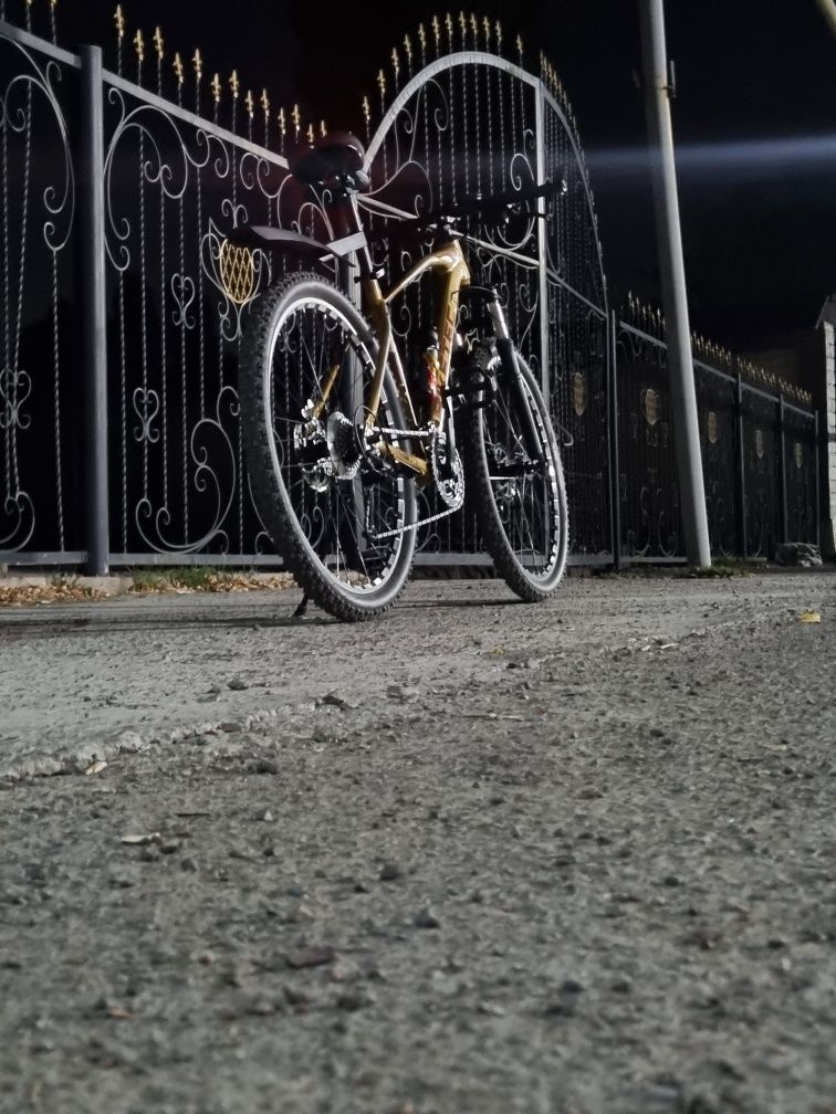 Velo professional