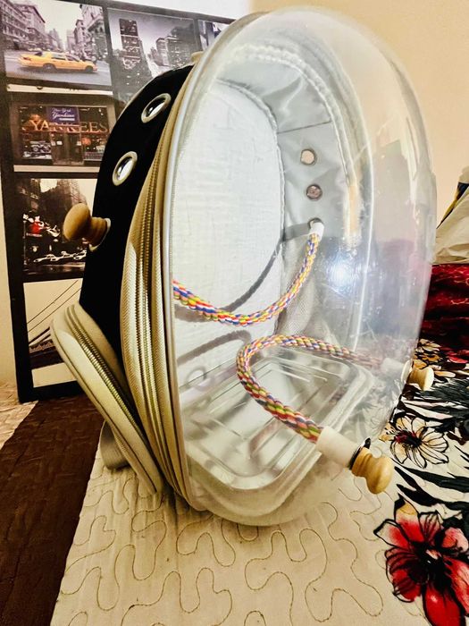 Rucsac Transport Animale