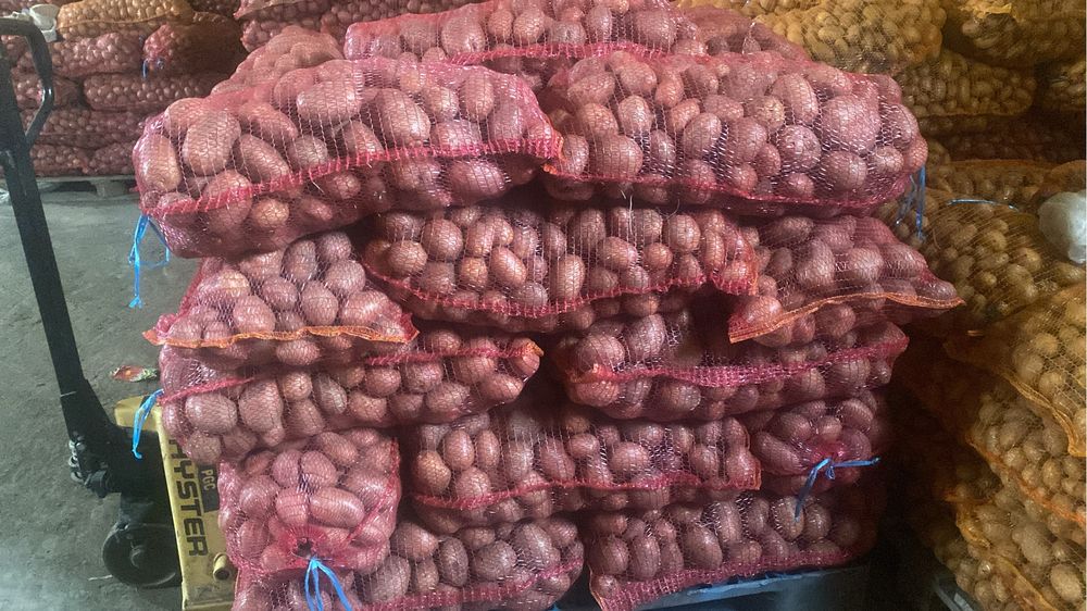 Cartofi de consum galbenii si rosi