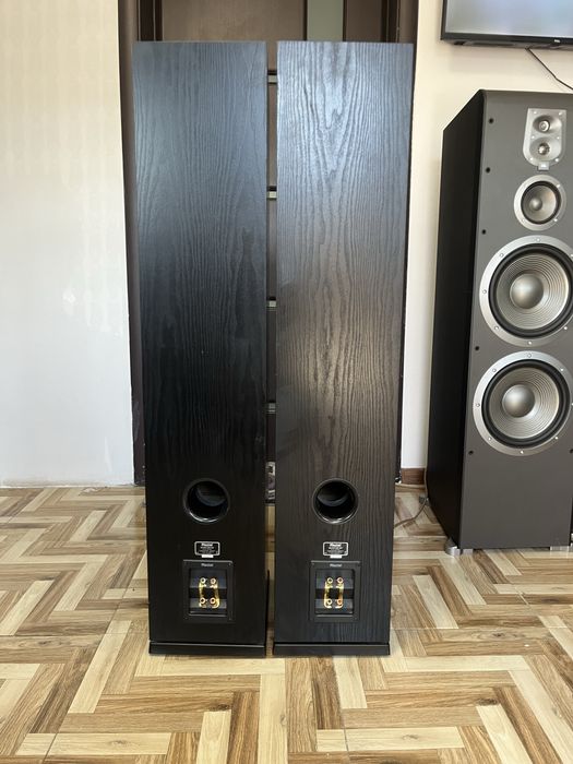 Boxe Magnat Quantum 557