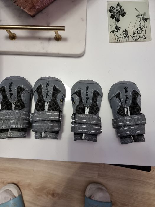 Нови зимни обувки за куче - 25лв