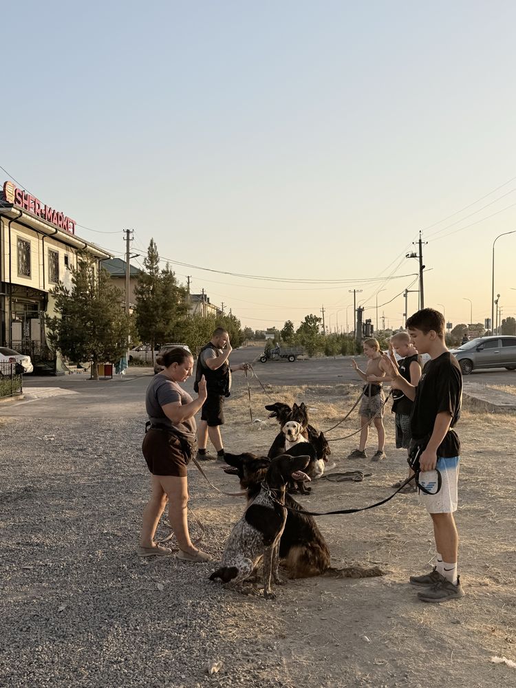 Команда кинологов ЧЕТЫРЕ ЛАПЫ