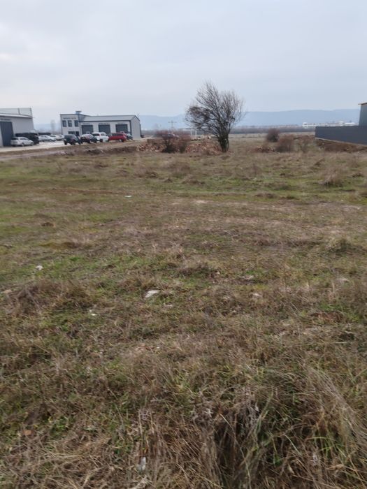 Vând teren centura Narciselor