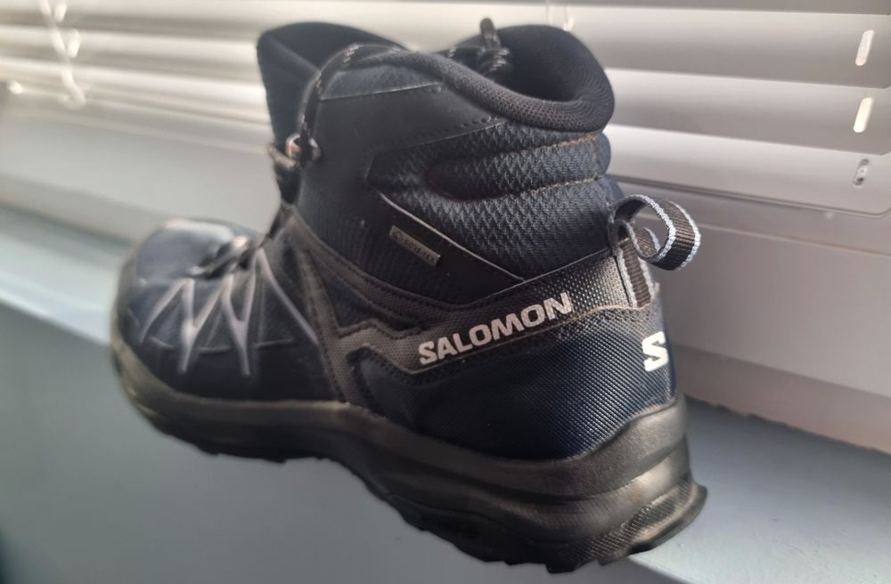 Salomon Daintree Mid Gtx