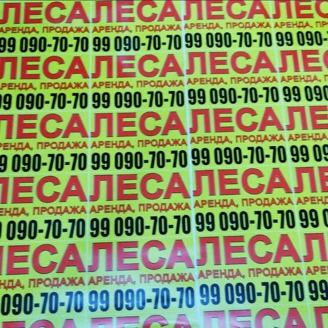 леса леса леса аренда сотув