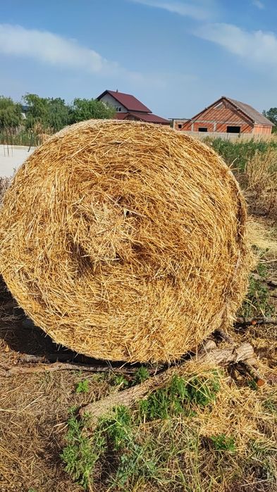 lucerna c2.Rotunzi min.40 Sau Fan.Drept.500.Transp.Inclus
In toata tar